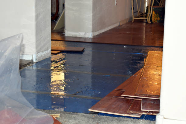 Professional Sewage Cleanup technician working in Midland, MI